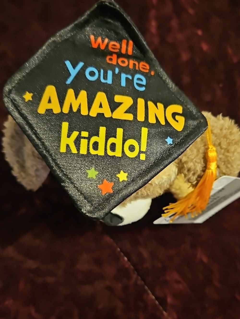 Plush Graduation Puppy - Brown with Black Cap